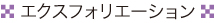 エクスフォリエーション