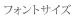 フォントサイズ