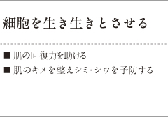細胞を生き生きとさせる