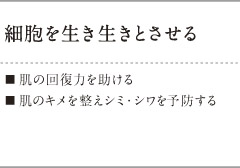 細胞を生き生きとさせる