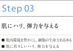 step03